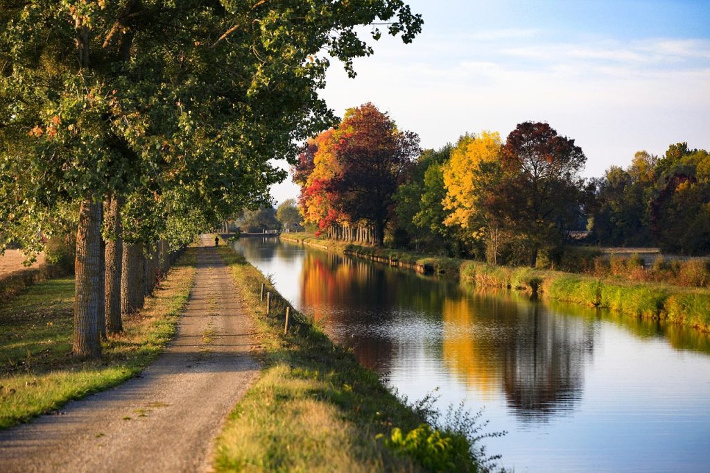 canal, france, water, nature, travel, reflections, landscape, bourgogne, chemin, bourgogne, bourgogne, bourgogne, bourgogne, bourgogne
