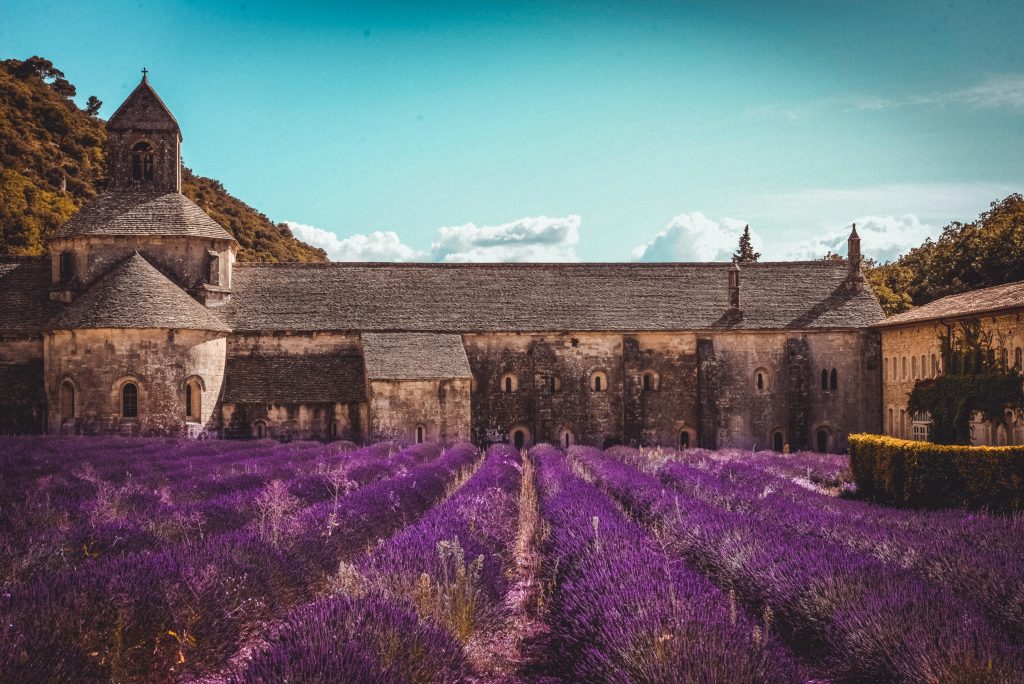 10 day France itinerary Provence lavender fields
