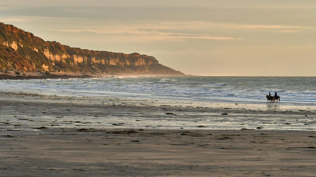 Scenic view of cliffs and horses on the beach in Le Havre, Normandy during sunset.